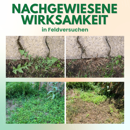 🔥WEIHNACHTEN – 50 % RABATT🌿| AEXZR® 5 in 1 Herbizid Maximalstärke