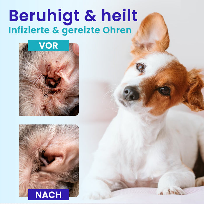 🏷️ EXKLUSIVES ANGEBOT! 50 % RABATT | Lotmay® Pet EarPro Tropfen FM+
