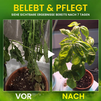 🔥RABATT ZUM NIEDRIGSTEN PREIS – 50 % RABATT – AEXZR® 2-in-1-Vita-Enzym-Lösung