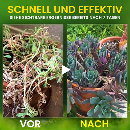 🔥RABATT ZUM NIEDRIGSTEN PREIS – 50 % RABATT – AEXZR® 2-in-1-Vita-Enzym-Lösung